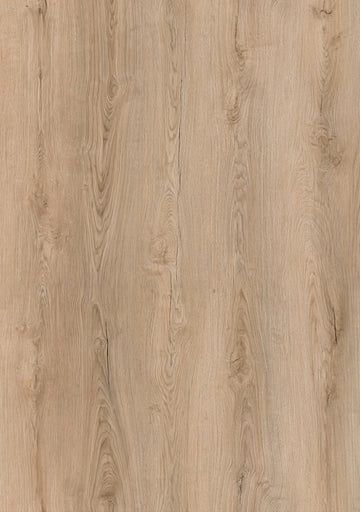 Sol SPC clipsable effet chêne naturel clair CAMBRIDGE 6,5 mm IXPE intégrée LIMCARO