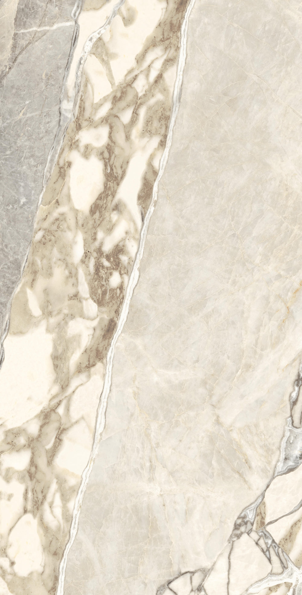 Carrelage sol / mur effet marbre TEKTONIS MARBLE l.60 x L.120 cm Mat LIMCARO