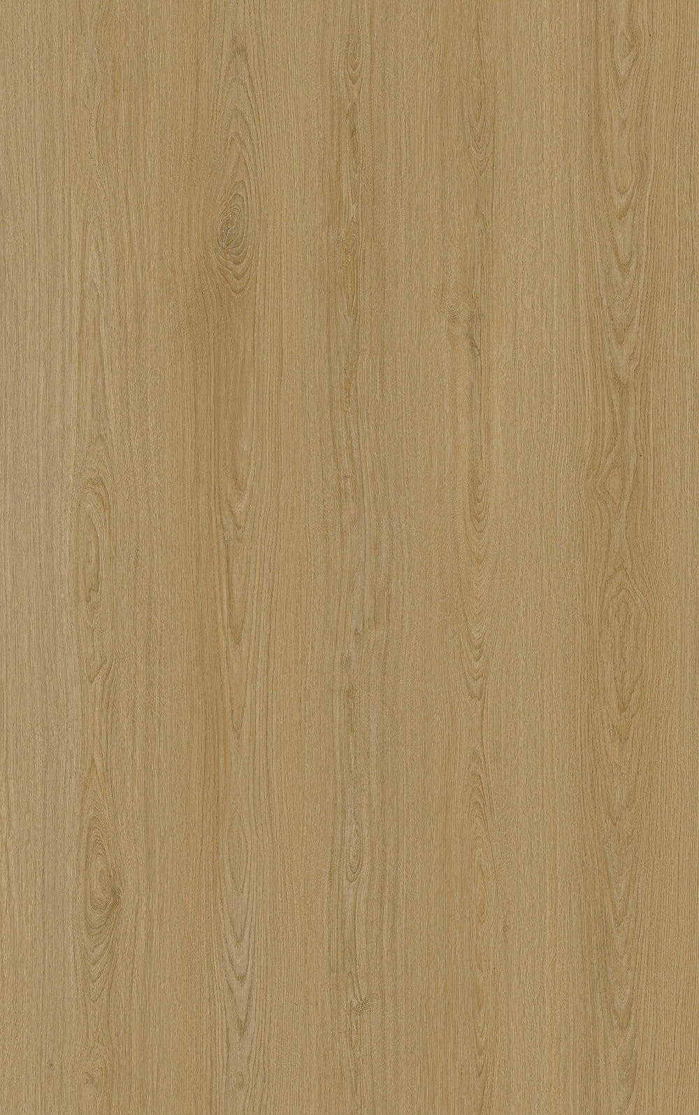 Sol SPC clipsable effet chêne doré naturel VERONA 6,5 mm IXPE intégrée LIMCARO