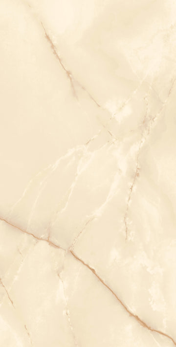 Carrelage sol / mur effet marbre ONYX POLISHED l.60 x L.120 cm Brillant LIMCARO
