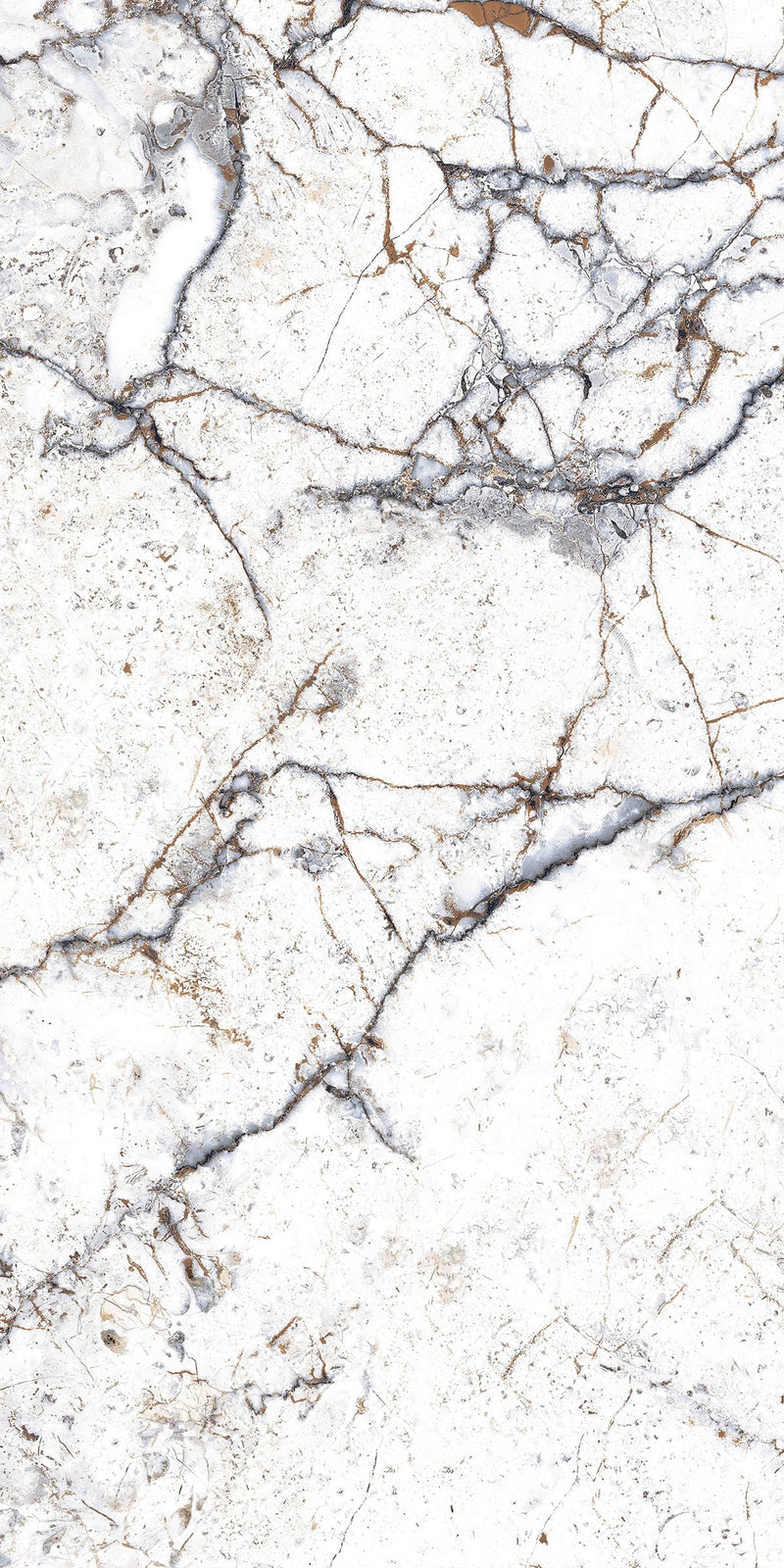 Carrelage sol / mur effet marbre STRATO l.60X L.120 cm LAPPATO LIMCARO