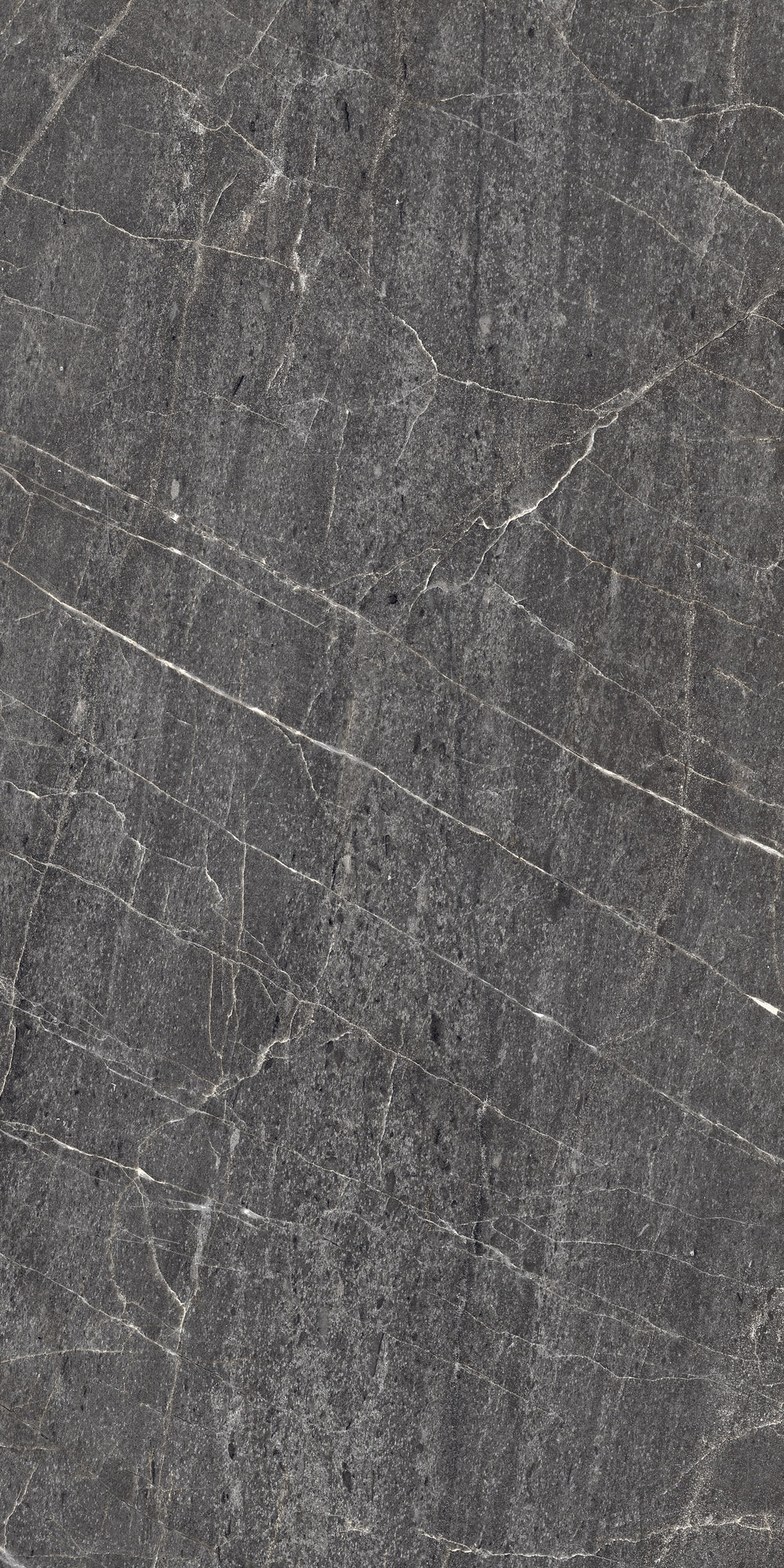 Carrelage sol / mur effet marbre TESSINO BLACK  l.60X L.120 cm Mat LIMCARO