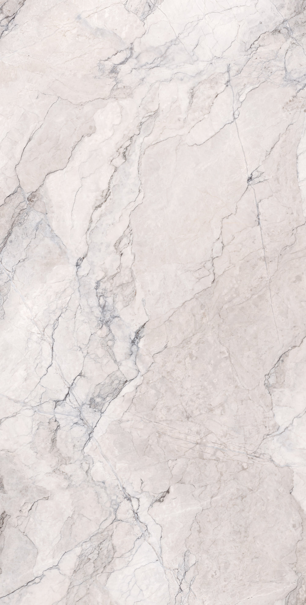 Carrelage sol / mur effet marbre CAMOUFLAGE l.60X L.120 cm Mat LIMCARO