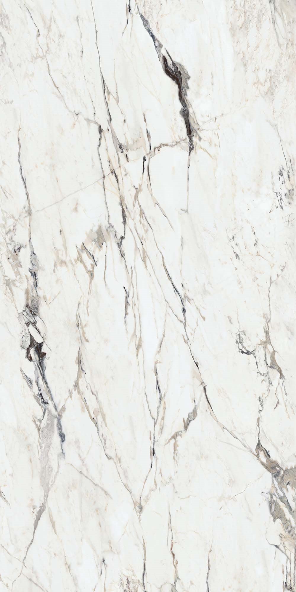 Carrelage CAL CAPRAIA l.160 X L.320 X 0.6 cm MAT LIMCARO - LIMCARO FRANCE