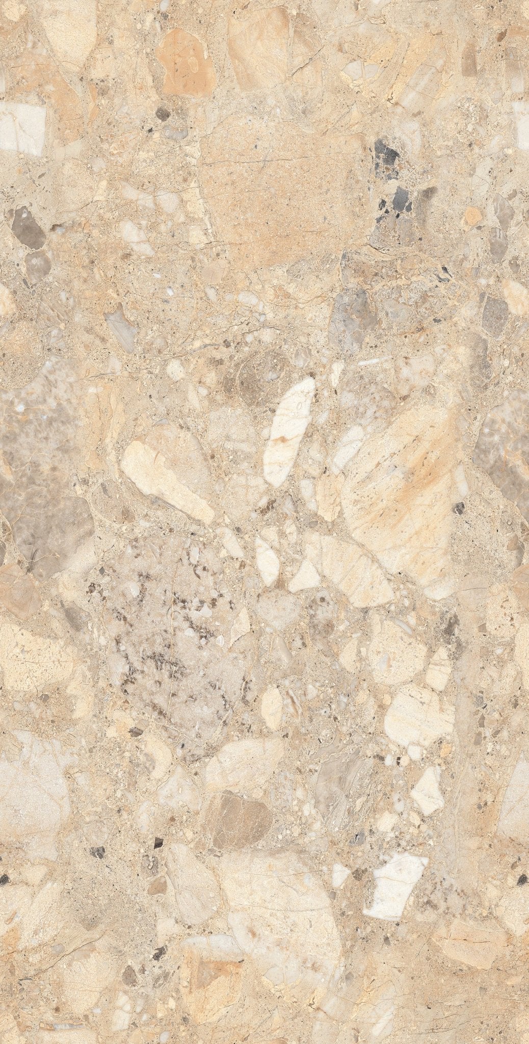 Carrelage sol / mur effet BRIZEIT BEIGE l.60X L.120 cm Glossy LIMCARO - LIMCARO FRANCE