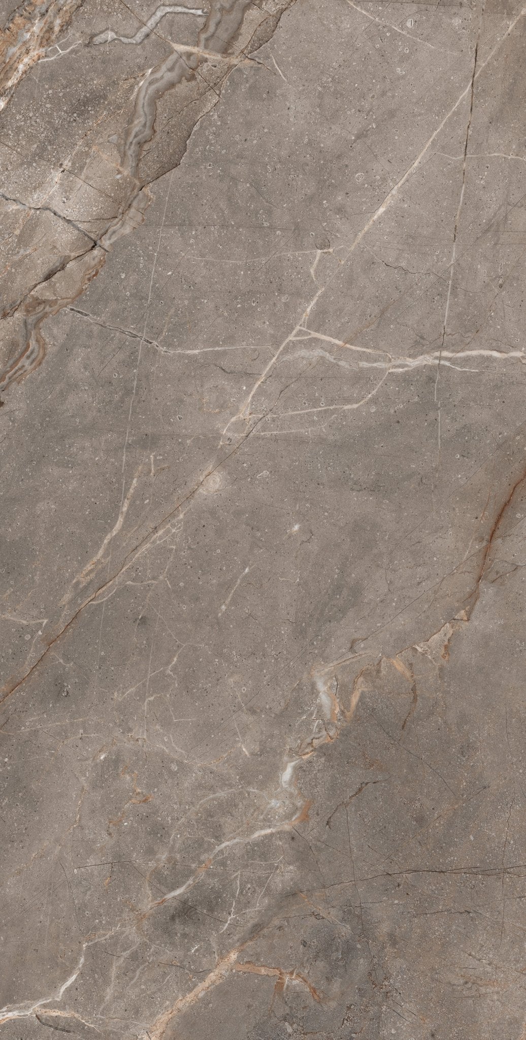 Carrelage sol / mur effet marbre MADRAN MINK l.60 x L.120 cm Mat LIMCARO - LIMCARO FRANCE