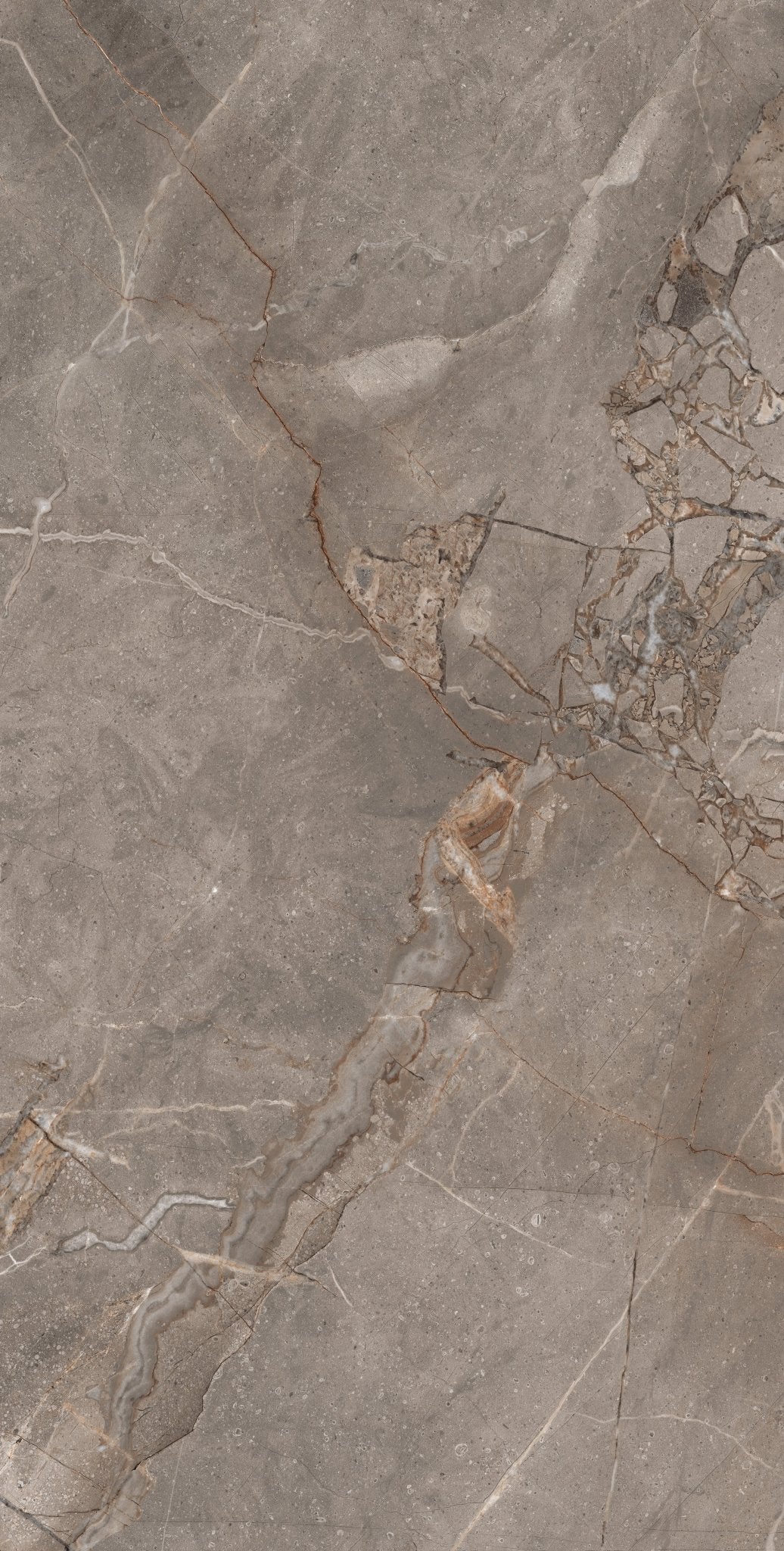 Carrelage sol / mur effet marbre MADRAN MINK l.60 x L.120 cm Mat LIMCARO - LIMCARO FRANCE