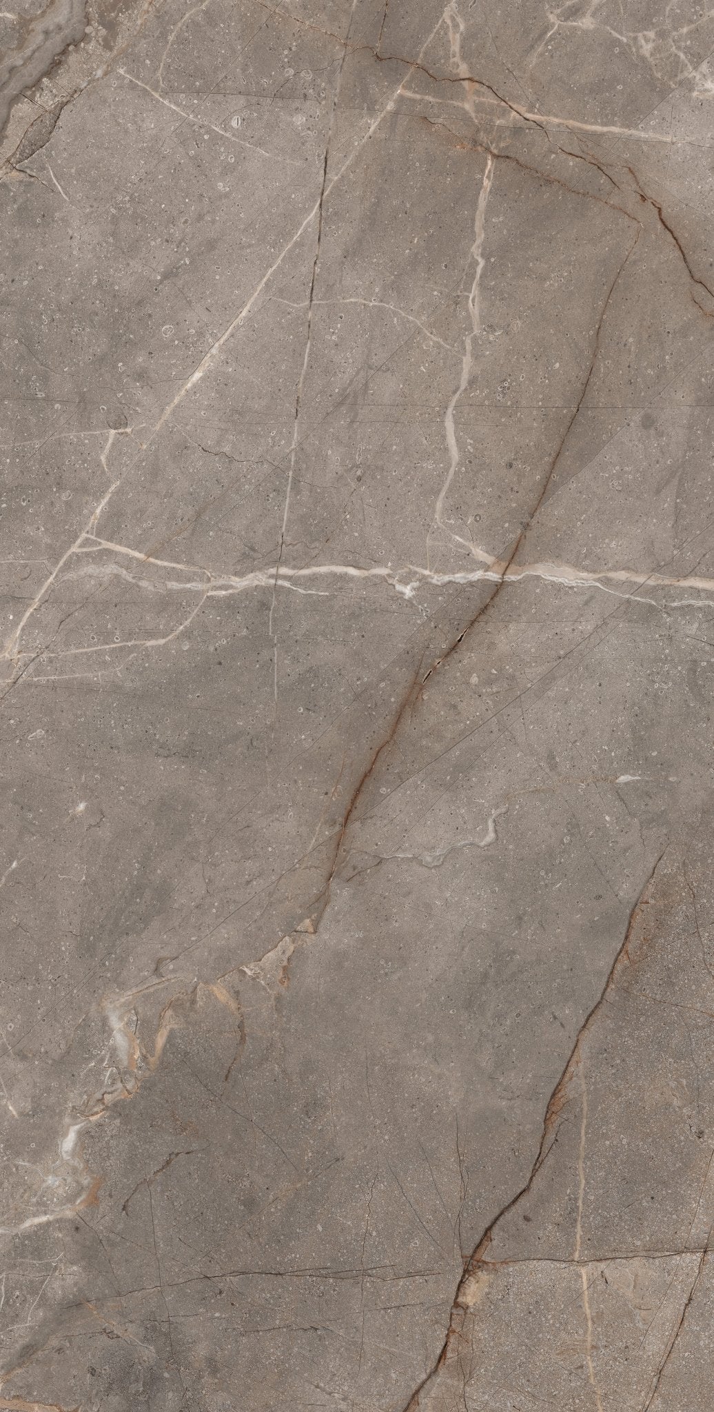 Carrelage sol / mur effet marbre MADRAN MINK l.60 x L.120 cm Mat LIMCARO - LIMCARO FRANCE