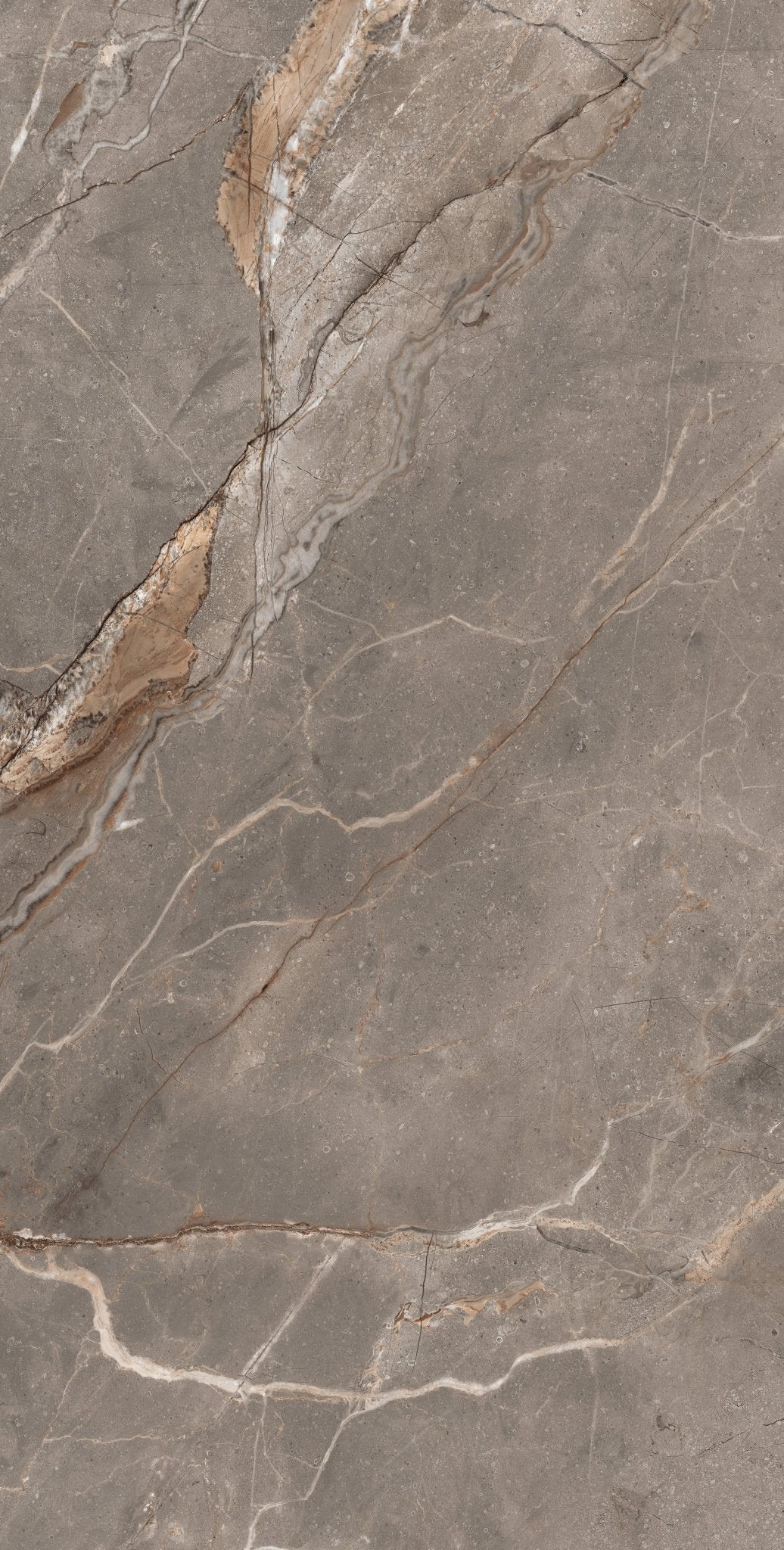 Carrelage sol / mur effet marbre MADRAN MINK l.60 x L.120 cm Mat LIMCARO - LIMCARO FRANCE