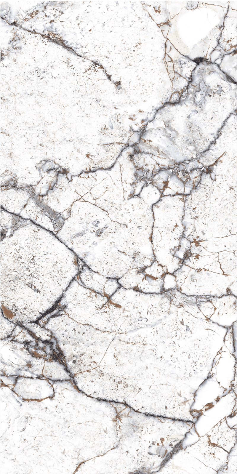 Carrelage sol / mur effet marbre STRATO l.60X L.120 cm LAPPATO LIMCARO - LIMCARO FRANCE