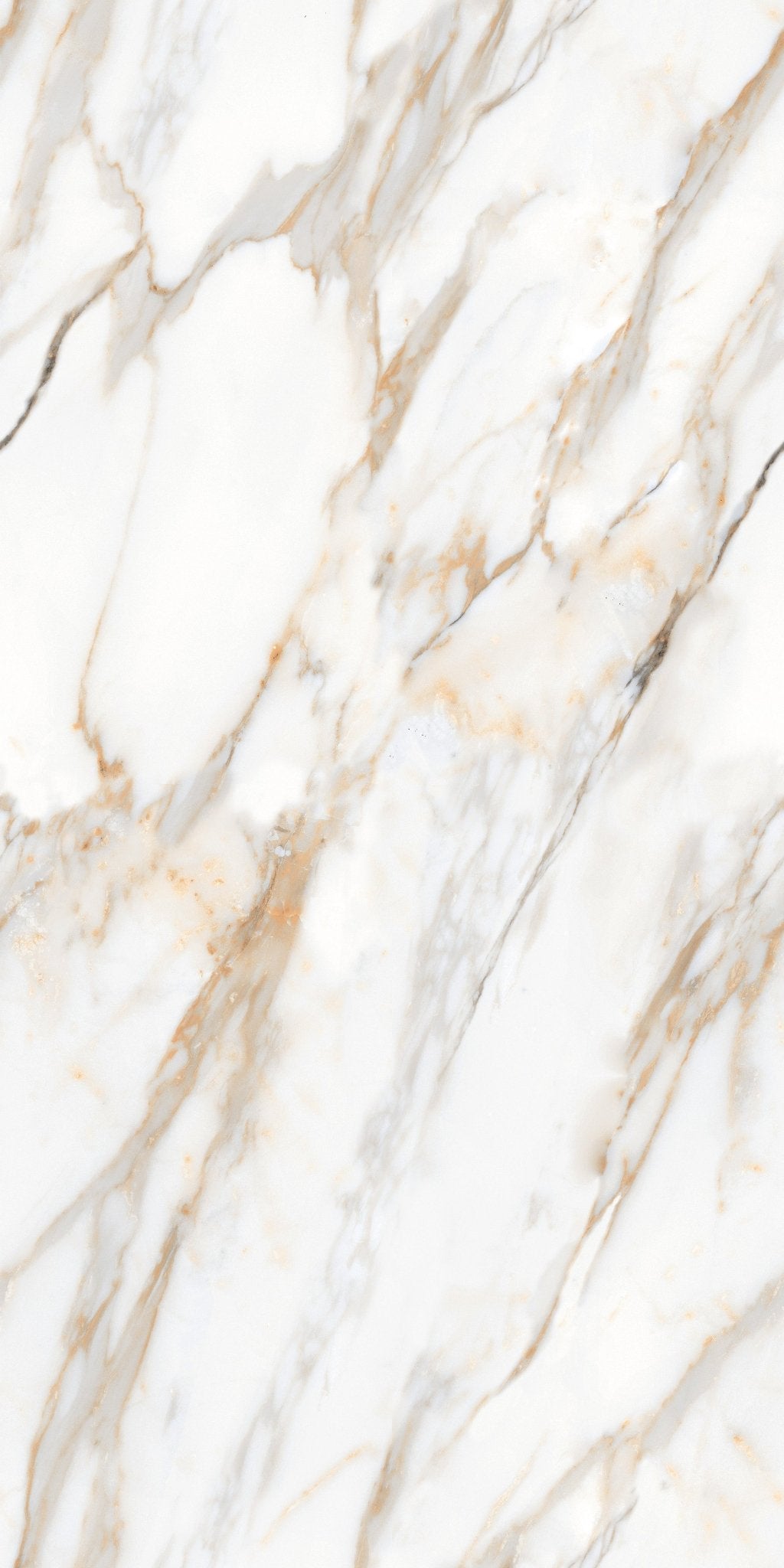 Carrelage sol / mur effet ZEBRINO GOLD l.60X L.120 cm Glossy LIMCARO - LIMCARO FRANCE