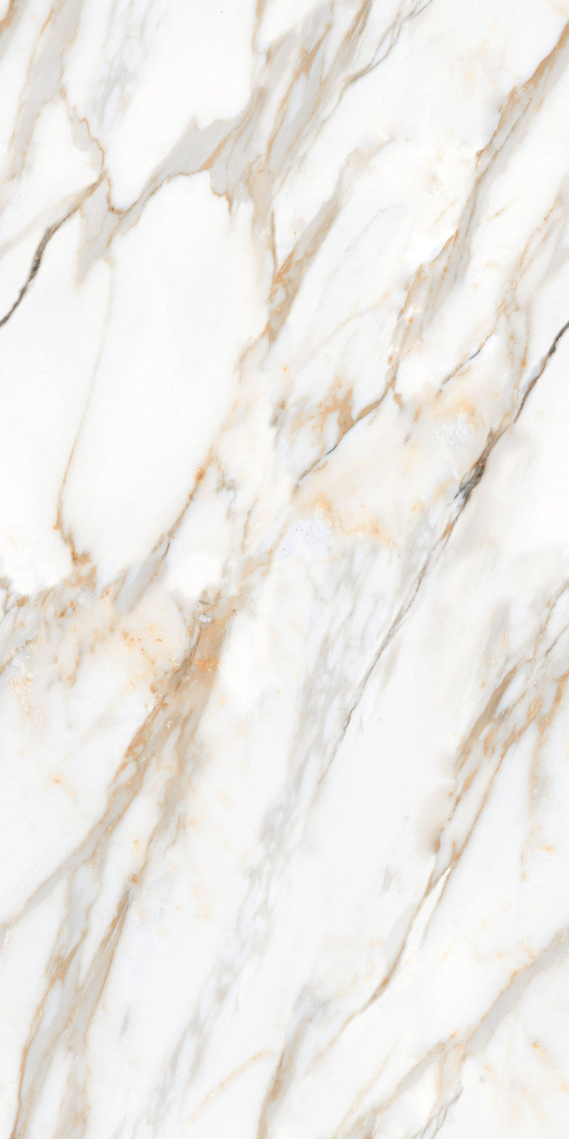 Carrelage sol / mur effet ZEBRINO GOLD l.60X L.120 cm Glossy LIMCARO - LIMCARO FRANCE