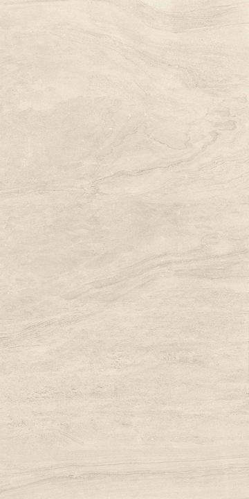 Carrelage sol / mur effet pierre COSMIC BONE  l.60 x L.120 cm Mat LIMCARO