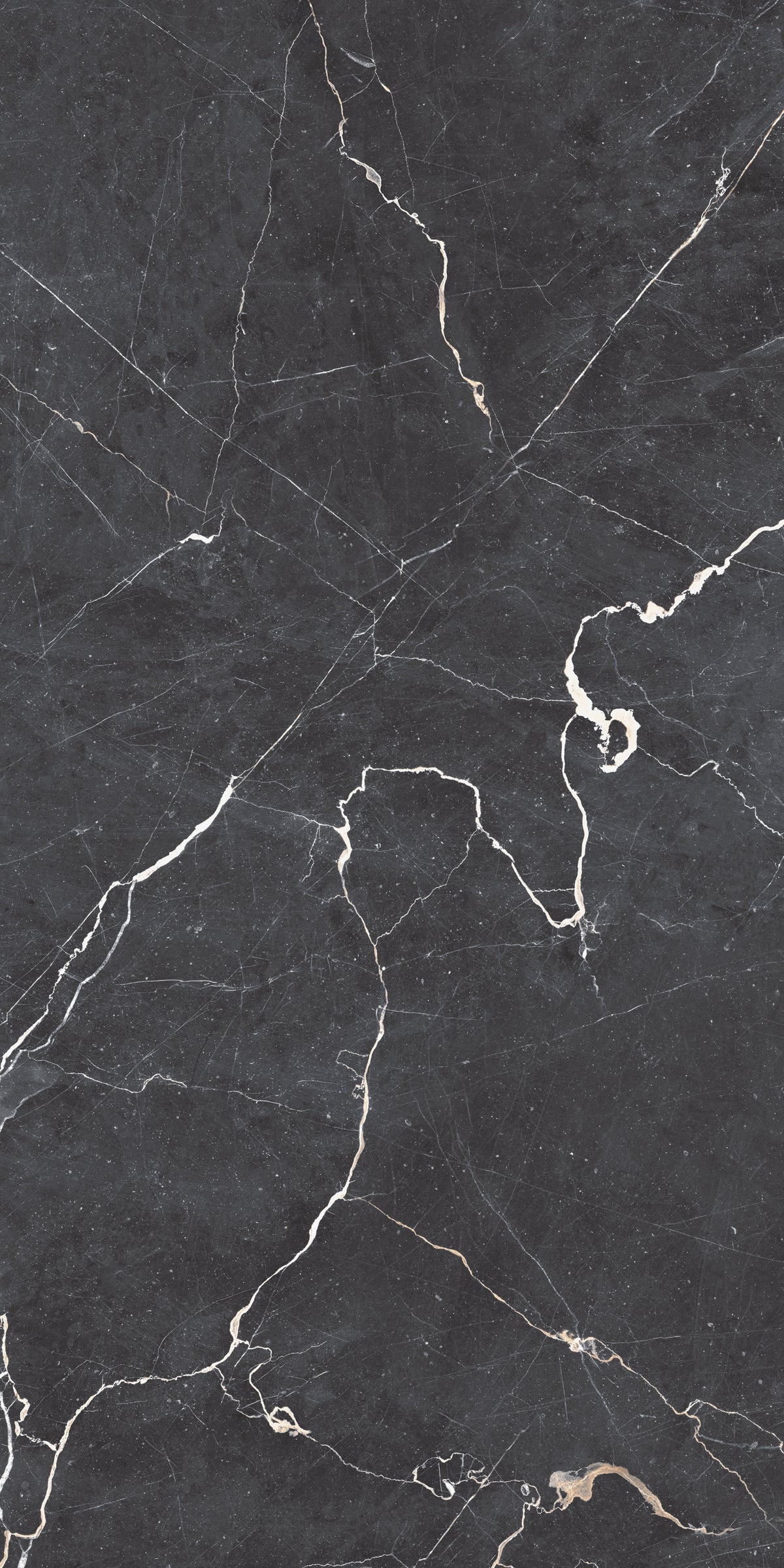 Carrelage sol / mur effet marbre DRAPE NERO  l.60 x L.120 cm Mat LIMCARO